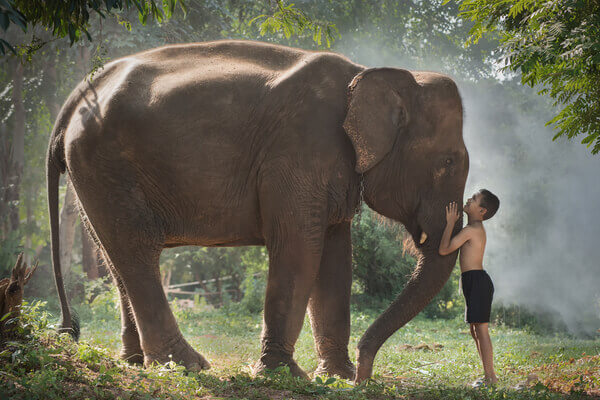 Active Listening