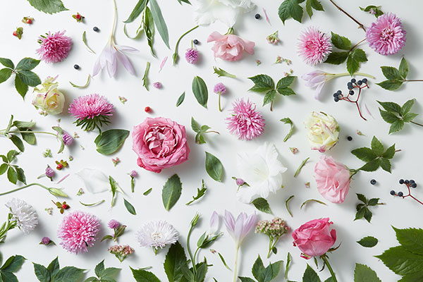 Floral Design